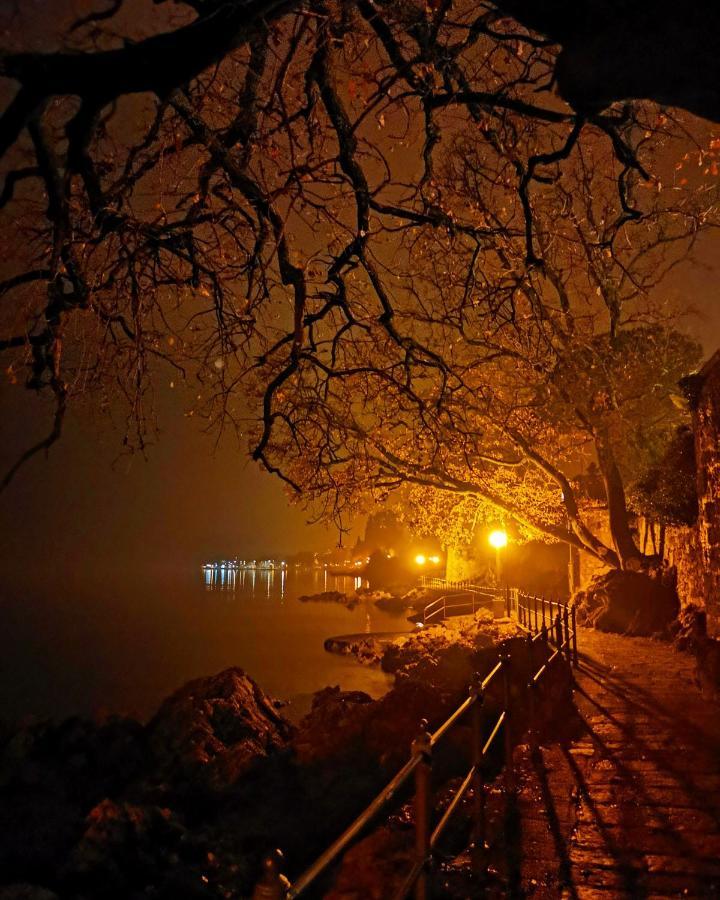 Ginko House Apartment Opatija Luaran gambar