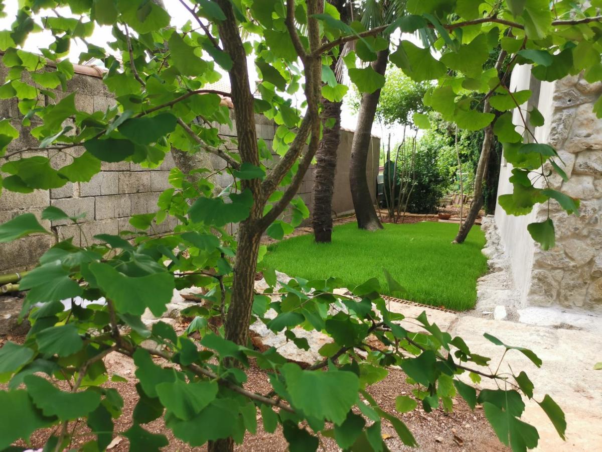 Ginko House Apartment Opatija Luaran gambar