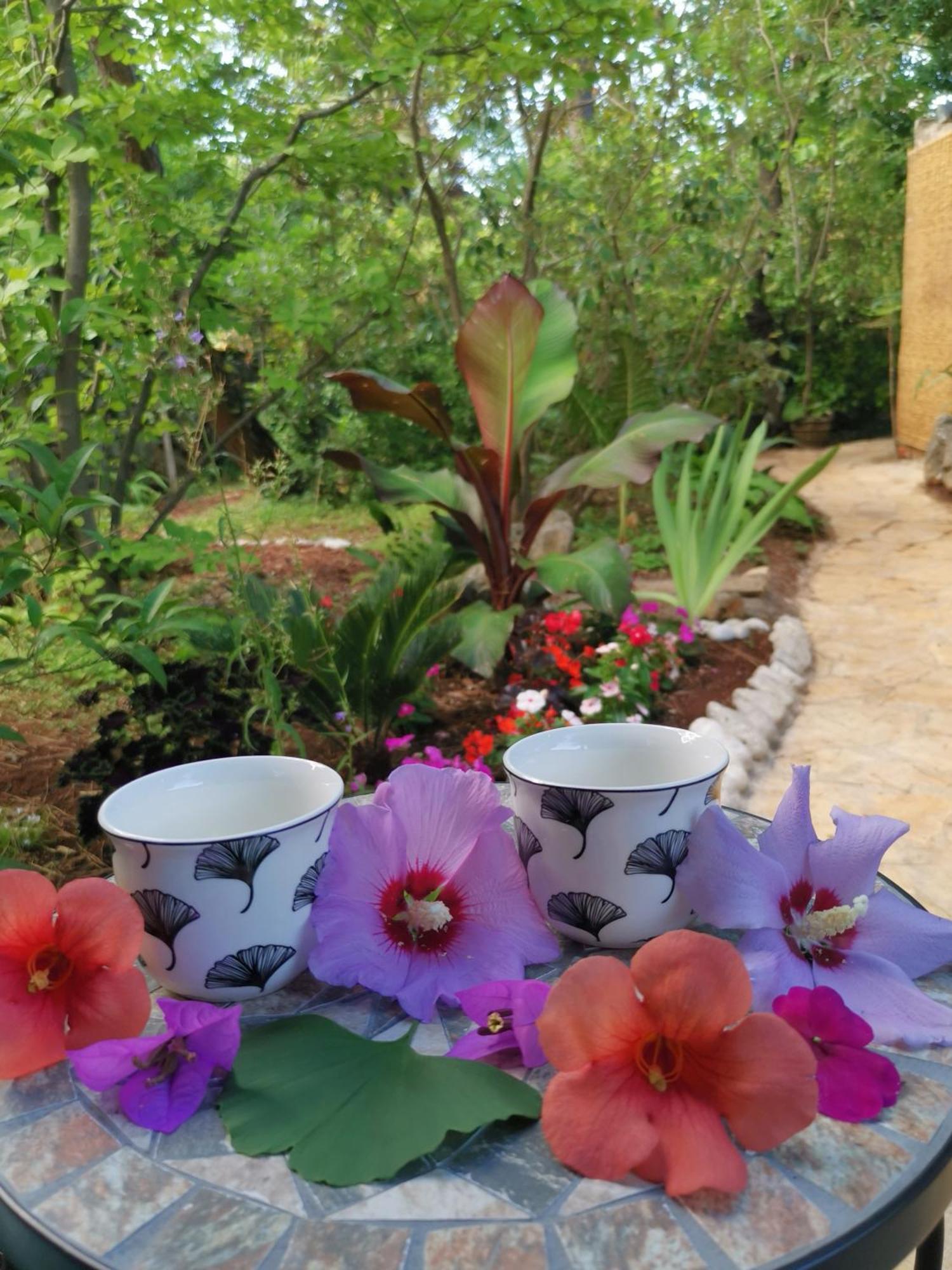 Ginko House Apartment Opatija Luaran gambar