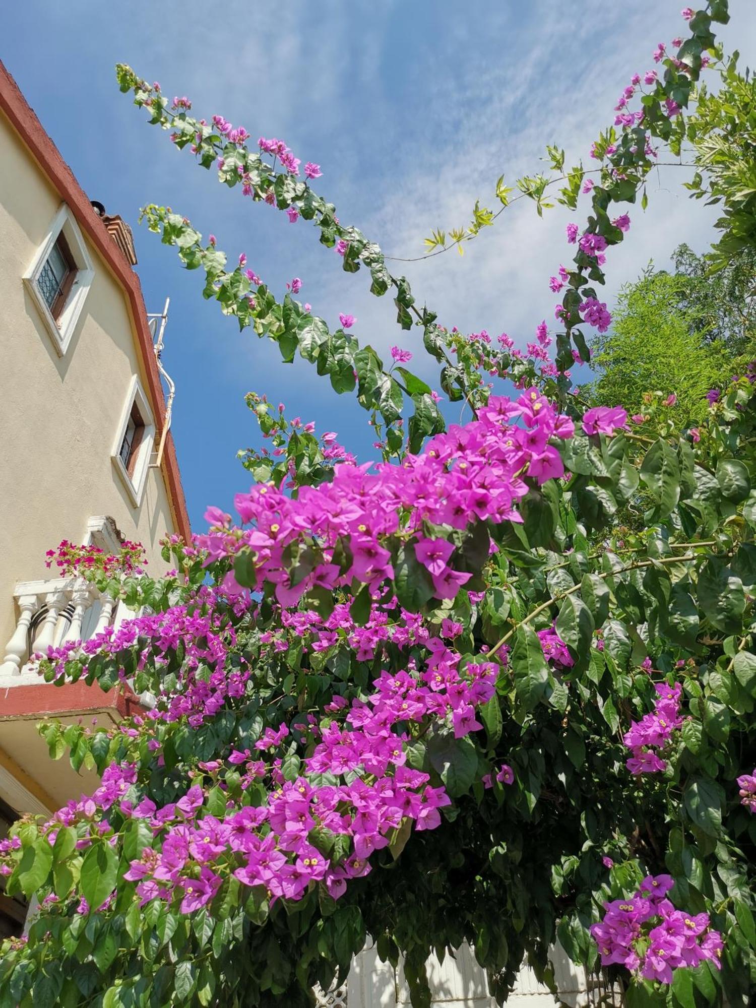 Ginko House Apartment Opatija Luaran gambar